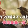 Netflix映画『ペンギンが教えてくれたこと』で使われている曲・挿入歌まとめ！