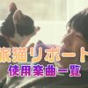 映画『旅猫リポート』で使われている主題歌・曲まとめ！